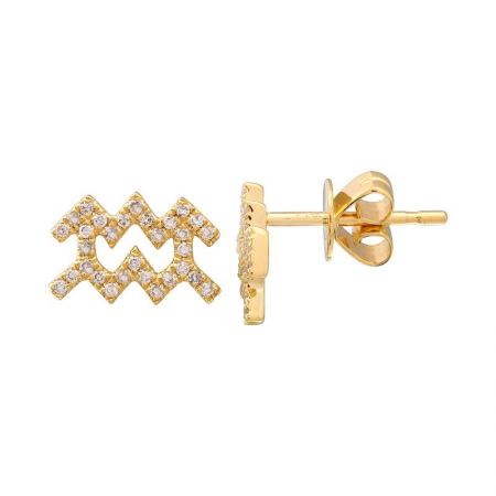 Aquarius Zodiac Studs